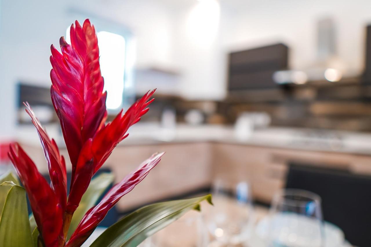 Narcisone Holiday Home Kerċem Εξωτερικό φωτογραφία